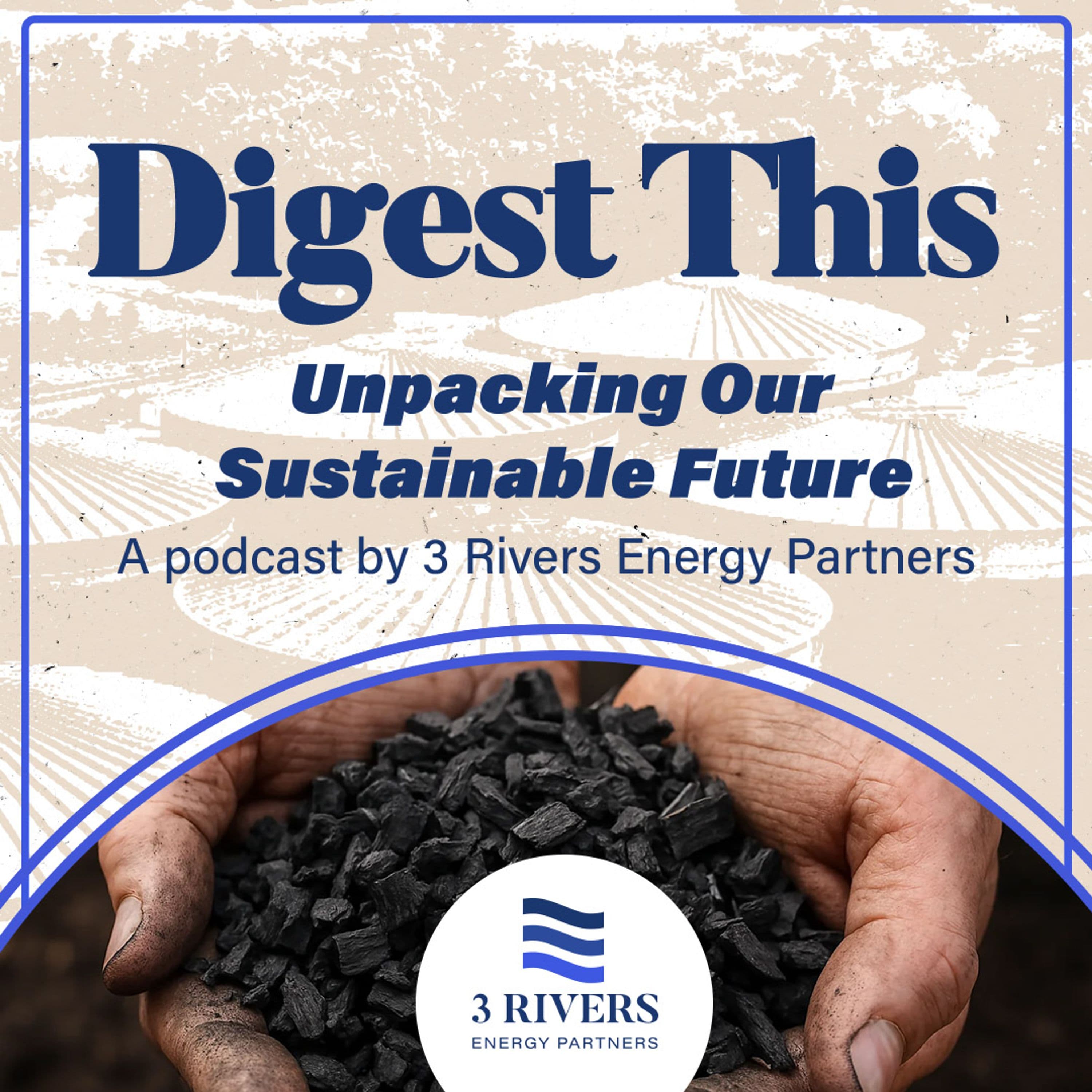 Innovation and Leadership in Sustainability
